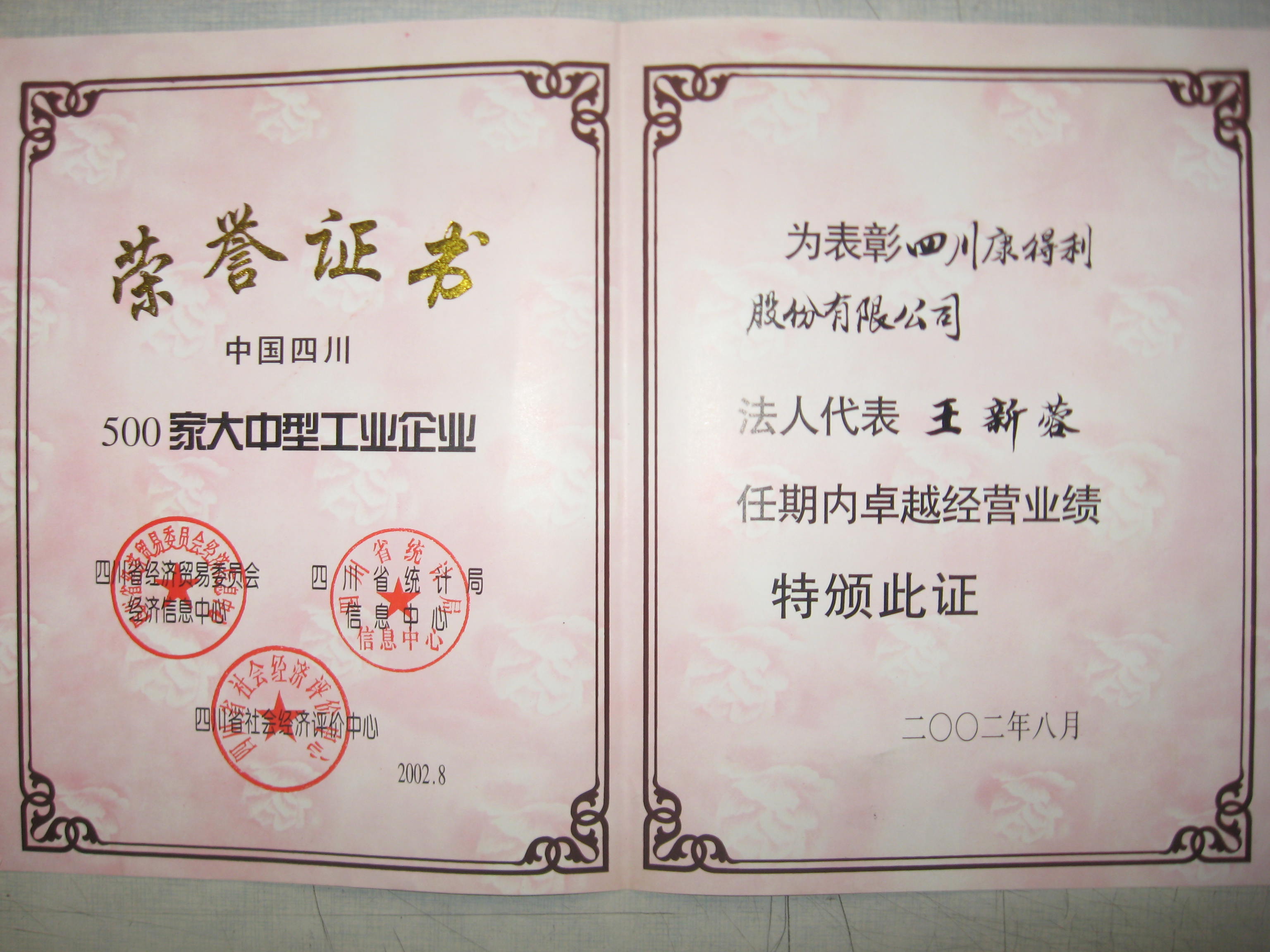 2002董事長(zhǎng)卓越經(jīng)營(yíng)業(yè)績(jī)